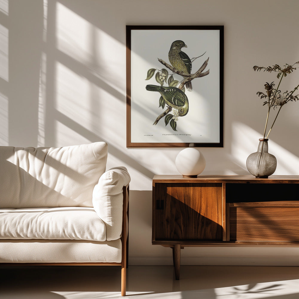 Cat Bird Poster